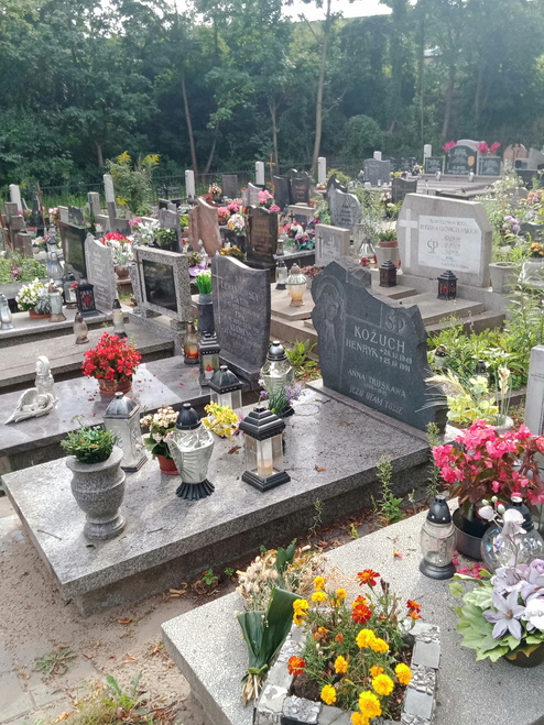 Anna Truskawa Gdynia Orłowo - Grobonet - Wyszukiwarka osób pochowanych