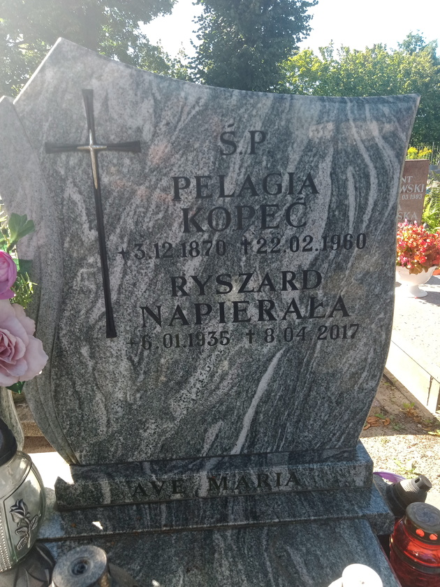 Ryszard Roman Napierała 1935 Gdynia Orłowo - Grobonet - Wyszukiwarka osób pochowanych