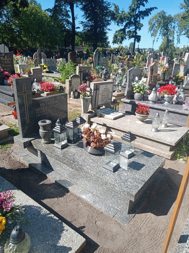 Władysław Hetmański 1909 Gdynia Orłowo - Grobonet - Wyszukiwarka osób pochowanych