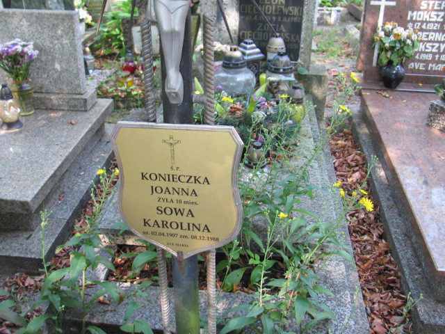 Joanna Konieczka Gdynia Orłowo - Grobonet - Wyszukiwarka osób pochowanych