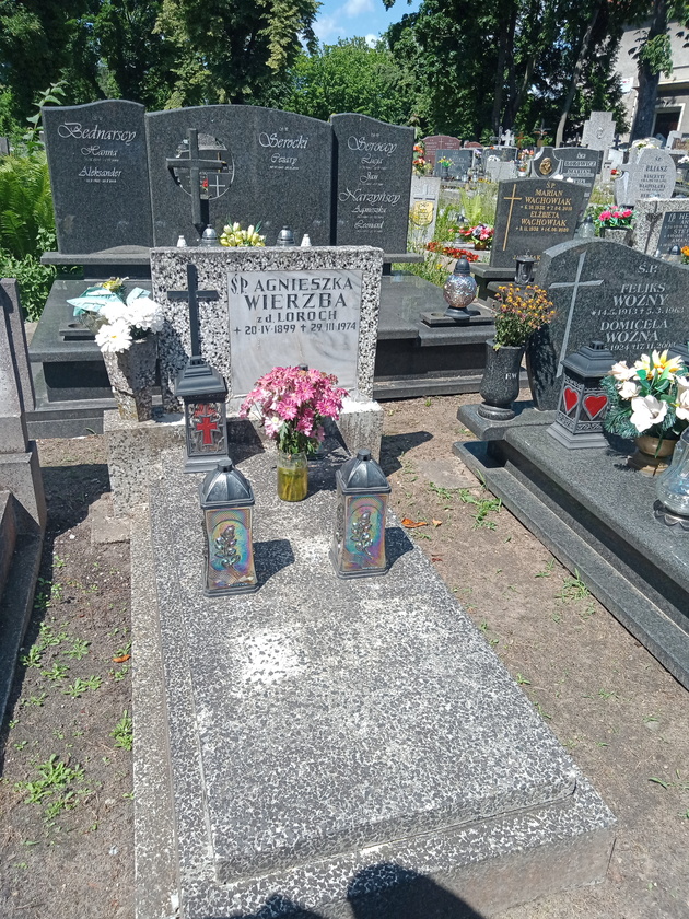 Agnieszka Wierzba 1899 Gdynia Orłowo - Grobonet - Wyszukiwarka osób pochowanych