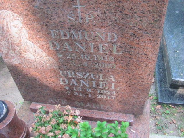 Edmund Daniel 1916 Gdynia Orłowo - Grobonet - Wyszukiwarka osób pochowanych