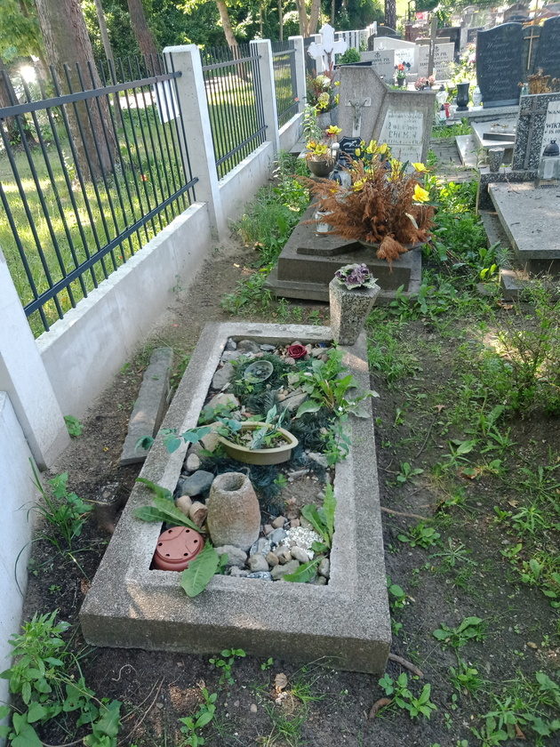 Zygmunt Kamiński 1915 Gdynia Orłowo - Grobonet - Wyszukiwarka osób pochowanych