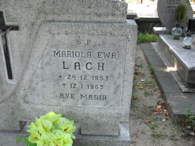 Mariola Ewa Lach 1953 Gdynia Orłowo - Grobonet - Wyszukiwarka osób pochowanych