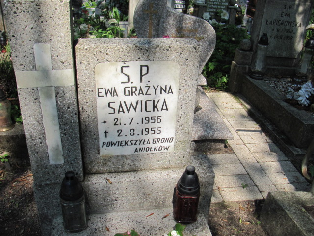 Ewa Grażyna Sawicka 1956 Gdynia Orłowo - Grobonet - Wyszukiwarka osób pochowanych