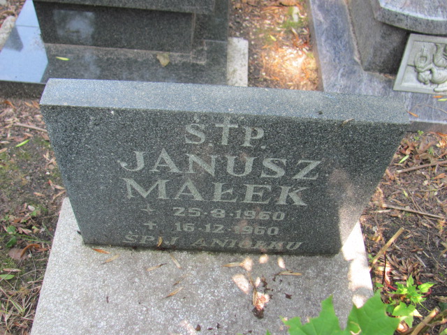 Janusz Małek 1960 Gdynia Orłowo - Grobonet - Wyszukiwarka osób pochowanych