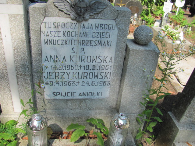 Jerzy Kurowski 1963 Gdynia Orłowo - Grobonet - Wyszukiwarka osób pochowanych