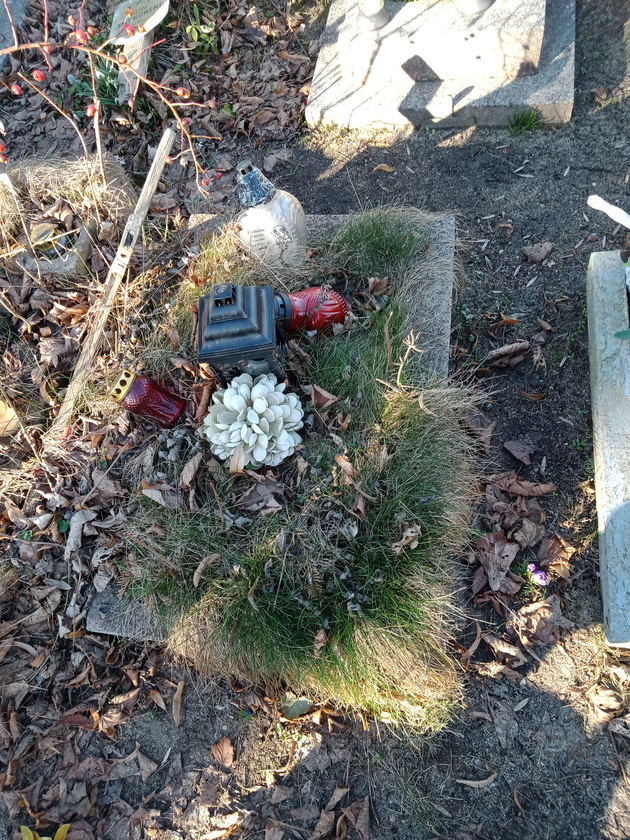  NN Gdynia Orłowo - Grobonet - Wyszukiwarka osób pochowanych