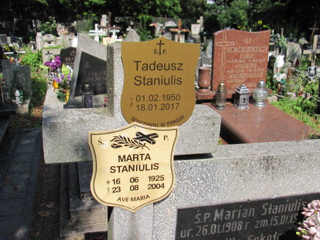 Zofia Staniulis 1948 Gdynia Orłowo - Grobonet - Wyszukiwarka osób pochowanych