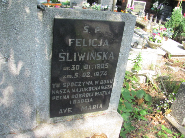 Felicja Antonina Śliwińska 1885 Gdynia Orłowo - Grobonet - Wyszukiwarka osób pochowanych