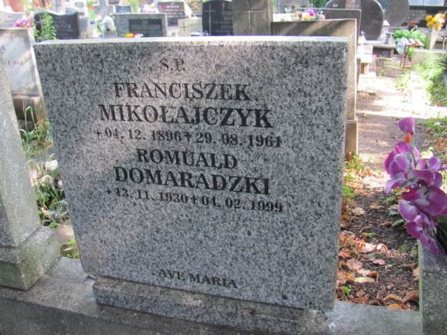 Romuald Aleksander Domaradzki 1930 Gdynia Orłowo - Grobonet - Wyszukiwarka osób pochowanych
