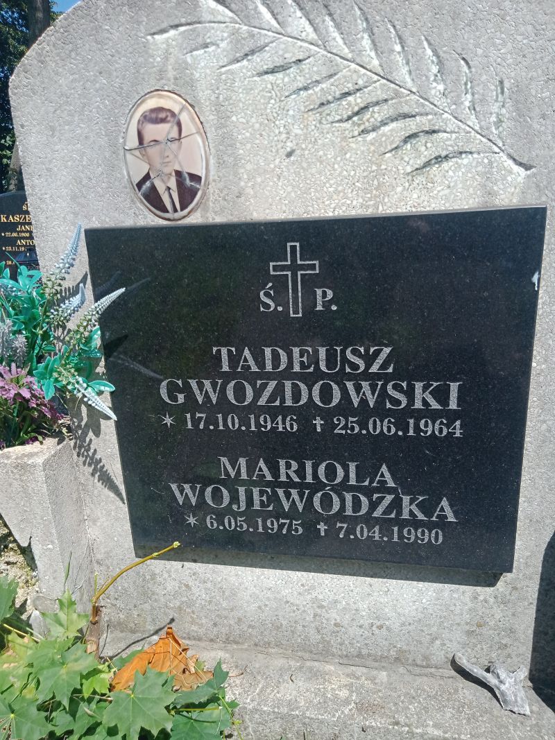 Grób Aleksandra Bronisława Hylla